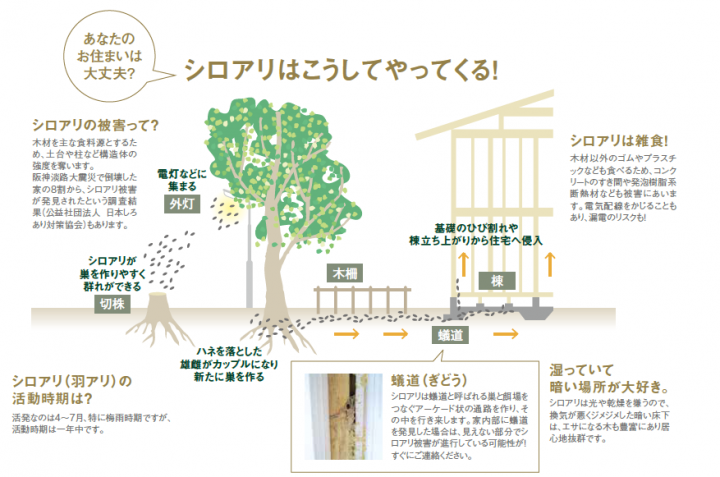 オーナーズサイト 梅雨本番 住まいのシロアリ対策していますか 北洲ハウジング