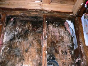 家と暮らしのお役立ちコラム 北洲ハウジング