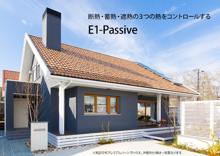 E1-Passive（イーワン パッシブ）