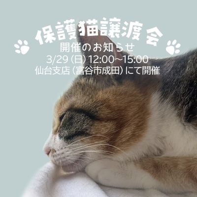 宮城県富谷市「保護猫譲渡会」開催